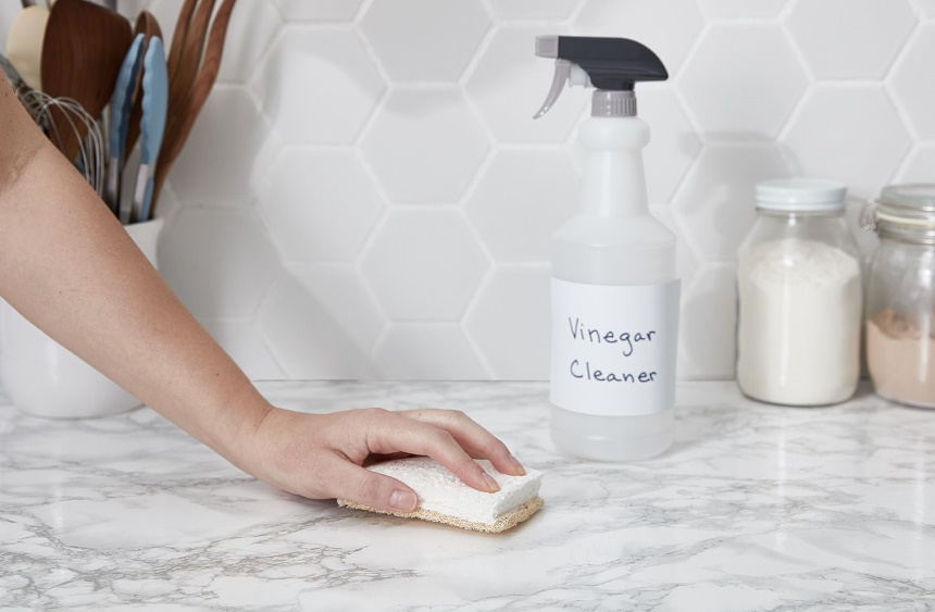 How to Get Rid of Moths: Natural Remedies and Treatments