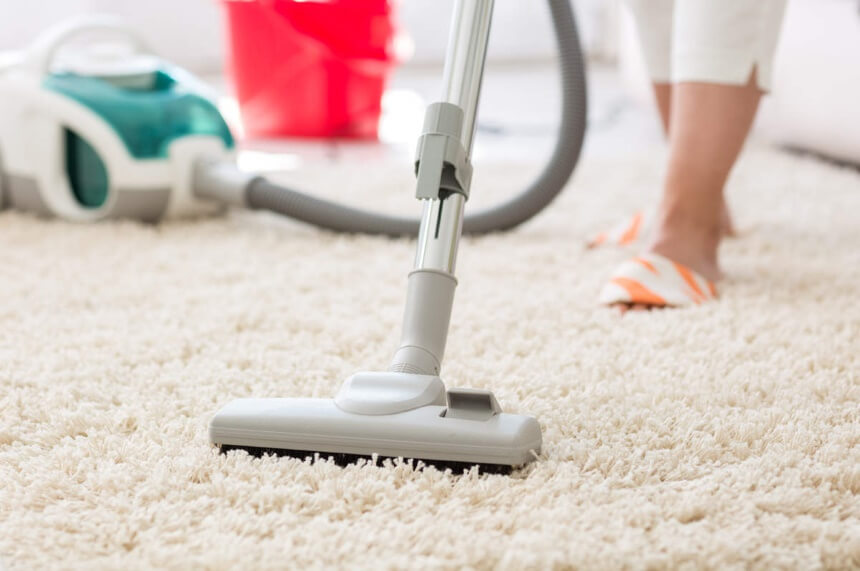 How to Get Rid of Moths: Natural Remedies and Treatments