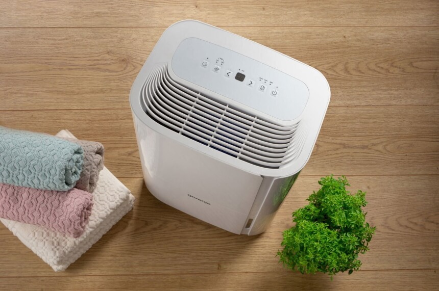 How to Get Rid of Moths: Natural Remedies and Treatments