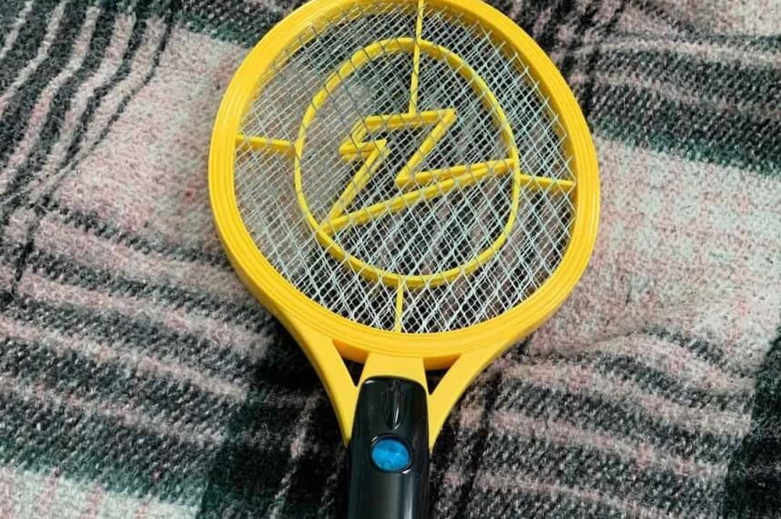 How to Get Rid of Phorid Humpbacked Flies