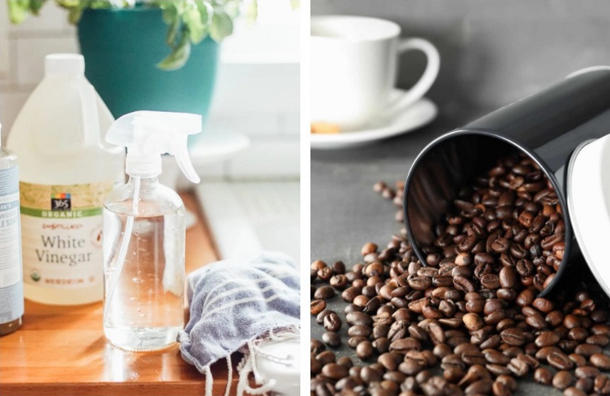 How to Get Rid of Slugs: No More Slimy Pests in Your Garden!