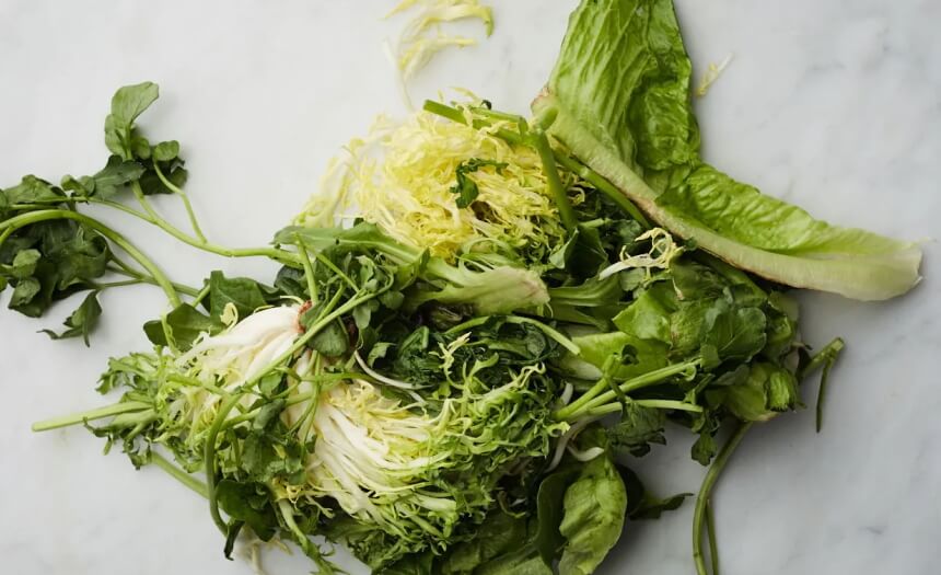 How to Get Rid of Slugs: No More Slimy Pests in Your Garden!