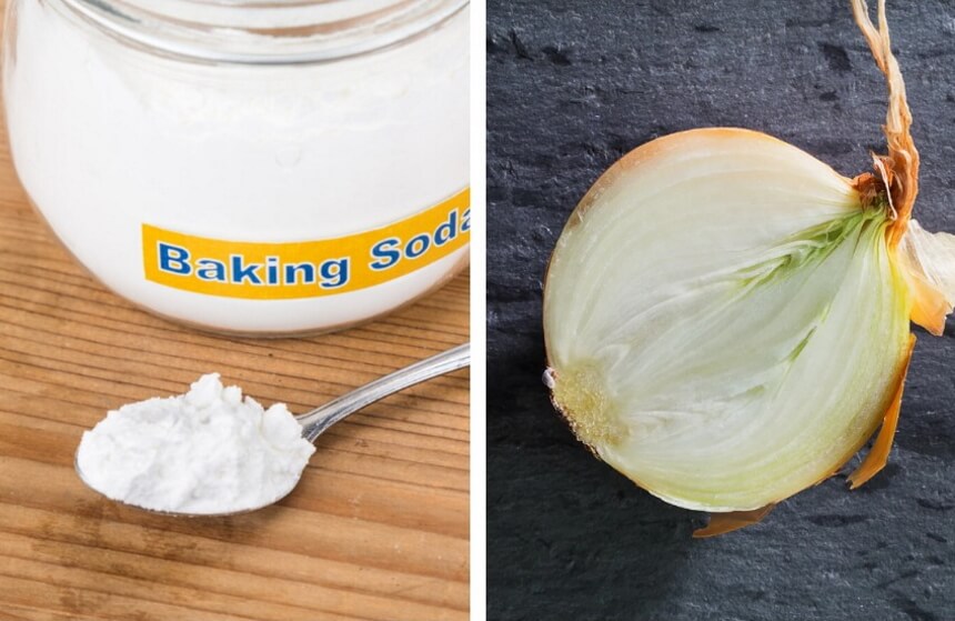 What You Need to Know About White Roaches