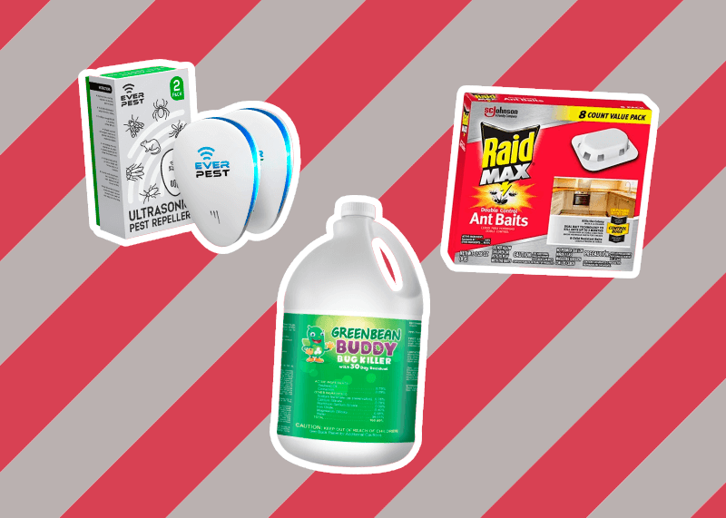 10 Best Ant Killers: Fast, Safe and Effective