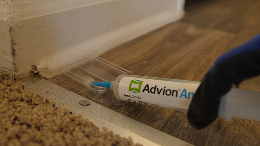 Advion Ant Gel: Is It the Best Option to Use at Home?