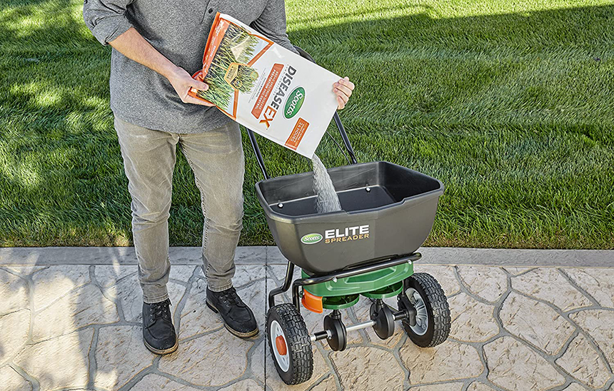 How to Get Rid of Chinch Bugs in the House or Lawn Naturally