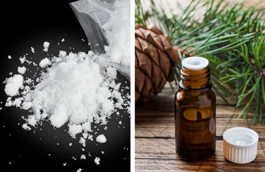 How to Get Rid of Powder Post Beetles: Pet-Safe & Natural Methods