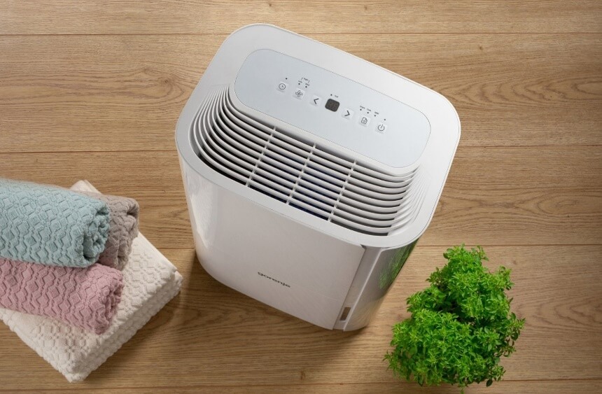 How to Get Rid of Powder Post Beetles: Pet-Safe & Natural Methods