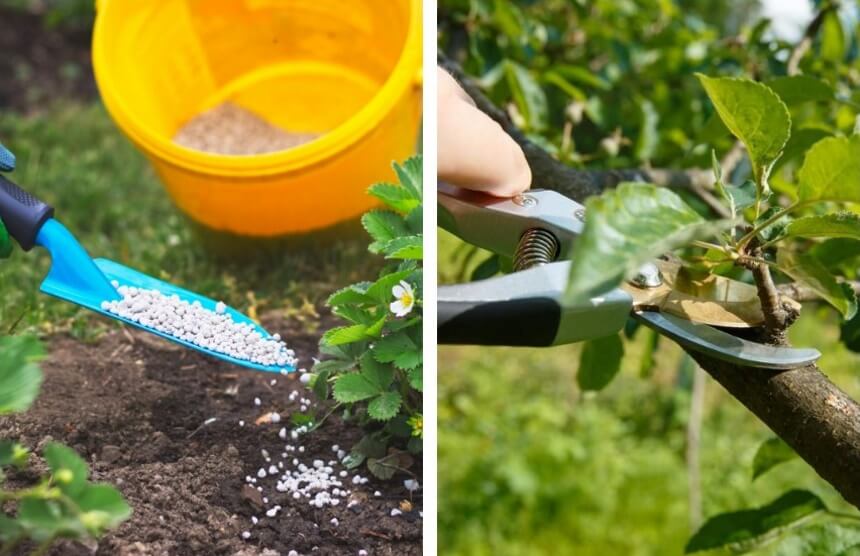 How to Get Rid of Leafminers? Tips and Tricks for Effective Extermination!