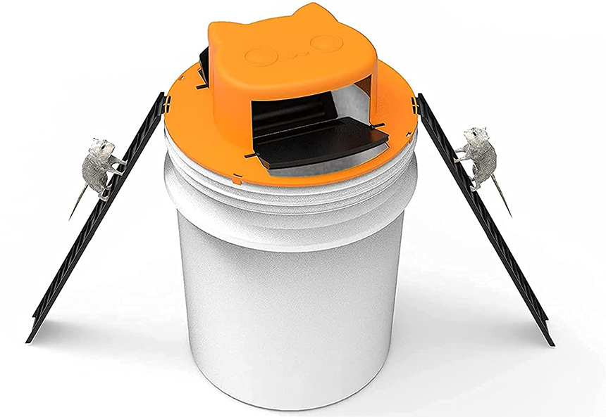 How to Get Rid of a Dead Rat Smell: Effective Solutions and Extra Tips