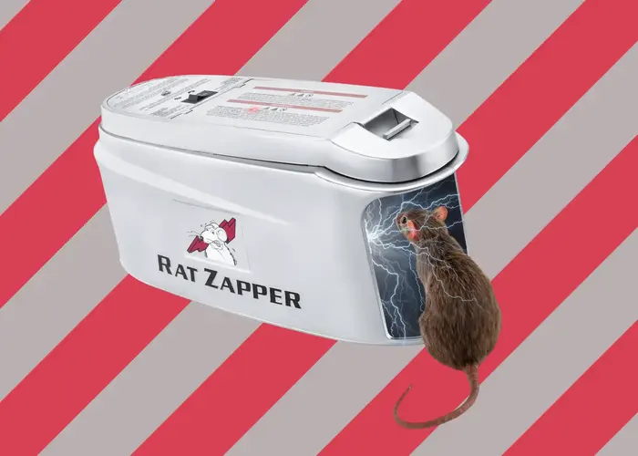 6 Best Electronic Rat Traps - Quick and Humane Solution to Rodent Problem