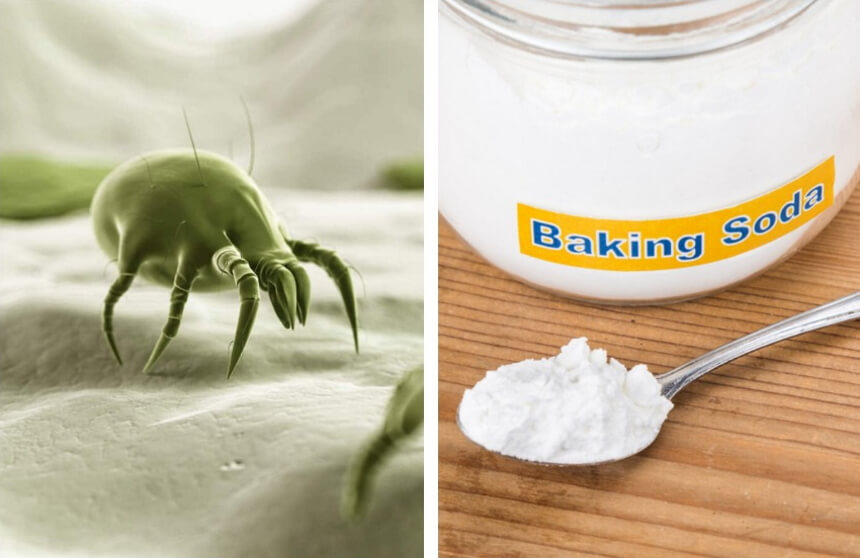Does Baking Soda Kill Dust Mites?