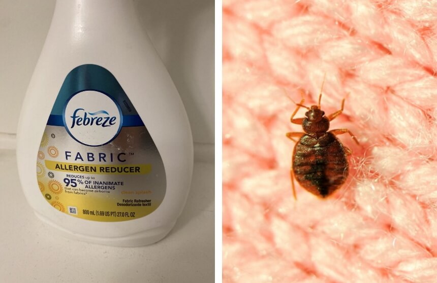 Does Febreze Kill Dust Mites?